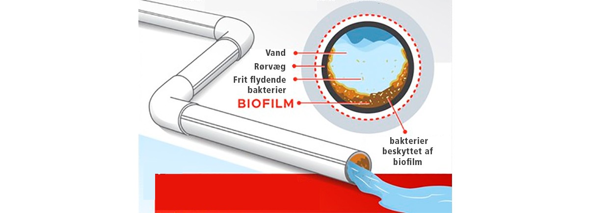 Biofilm og vandkemi i din udespa Biofilm 1200x435 - SpaFix