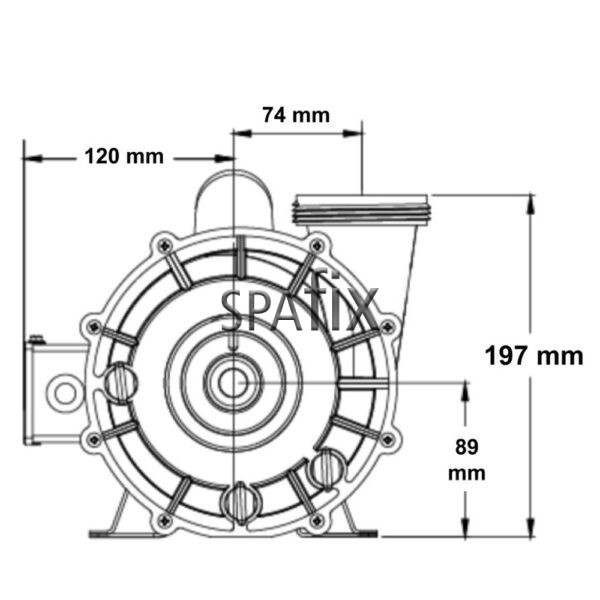 06334000 2040 Gecko CMXP circulation pump 1 15hp front drawing